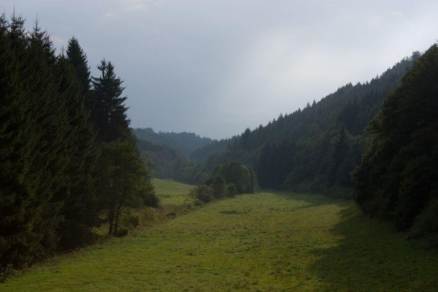 Studiohaus Haus Roswitha * Geisfeld (Rhineland-Palatinate)