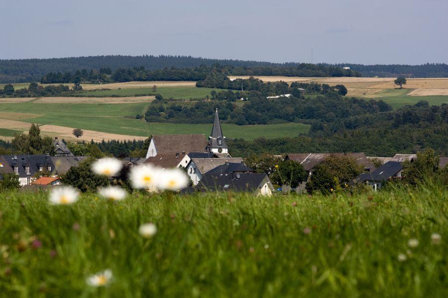 Studiohaus Haus Roswitha * Geisfeld (Rhineland-Palatinate)