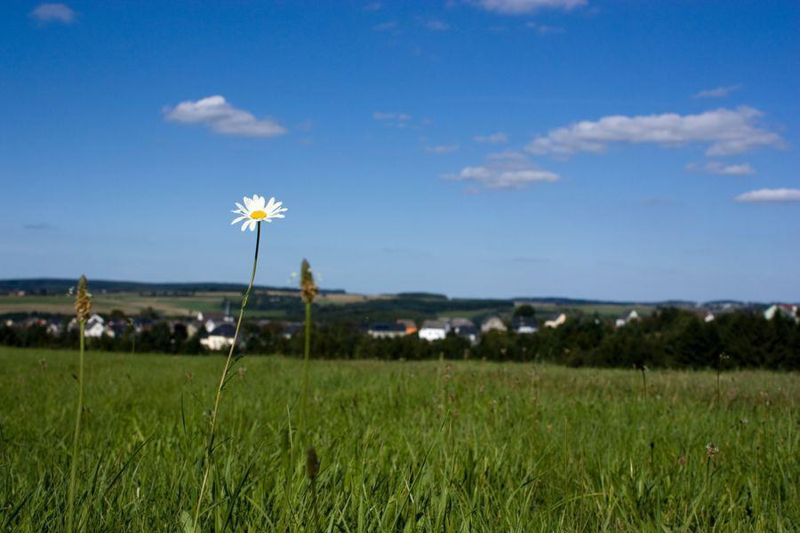 Apartment Studiohaus Haus Roswitha
